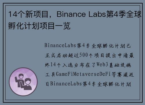 14个新项目，Binance Labs第4季全球孵化计划项目一览